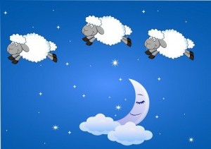 luna-e-pecore